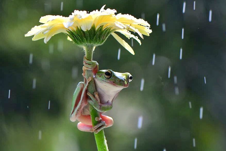 [Виталий Антипин] Весеннее настроение (2023)_0.jpg